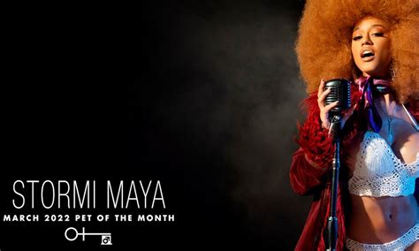 stormi maya penthouse|PENTHOUSE ANNOUNCES STORMI MAYA IS MARCH’S PET。